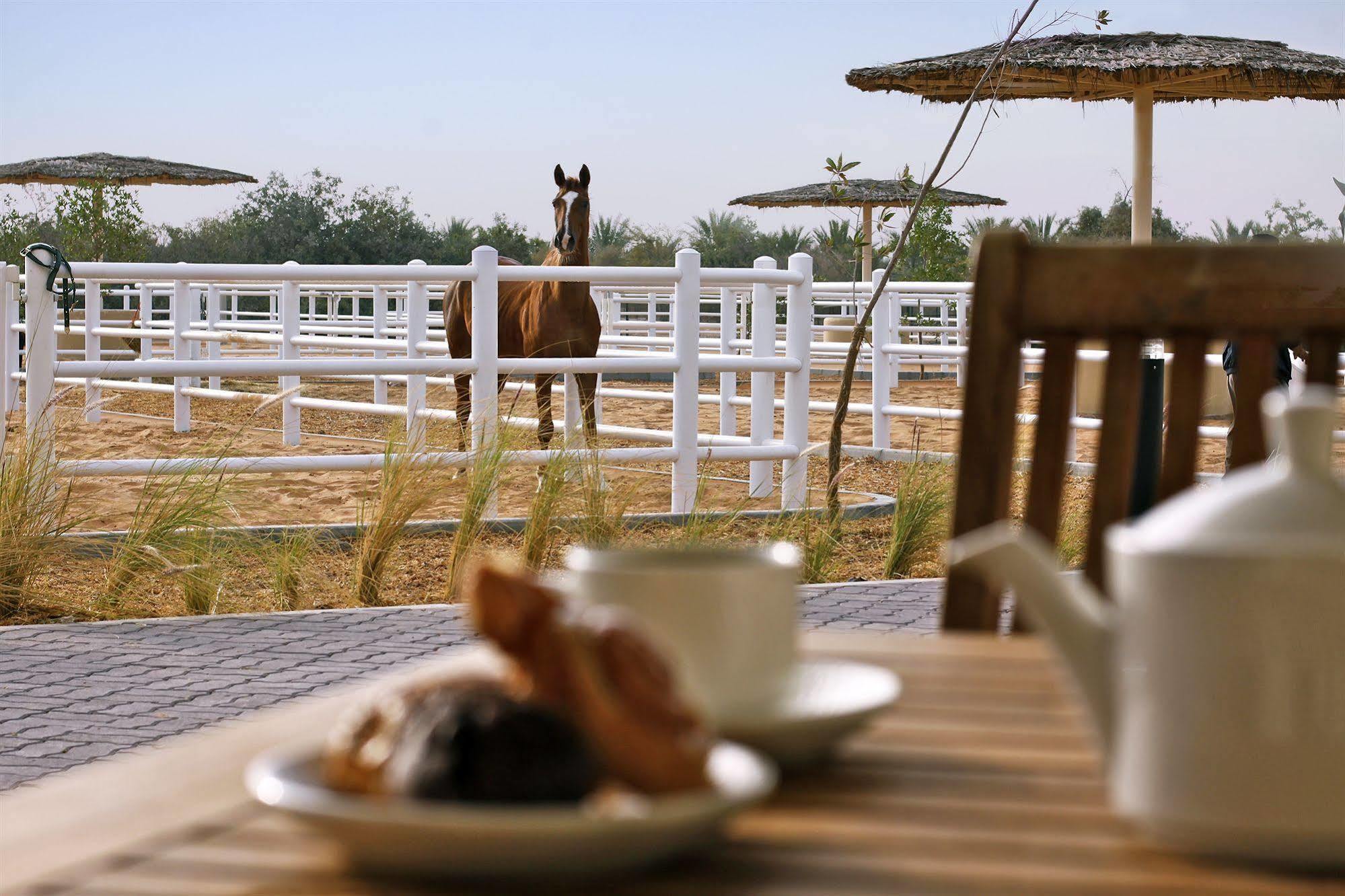 Anantara Sir Bani Yas Island Al Sahel Villas Zahr Exterior foto